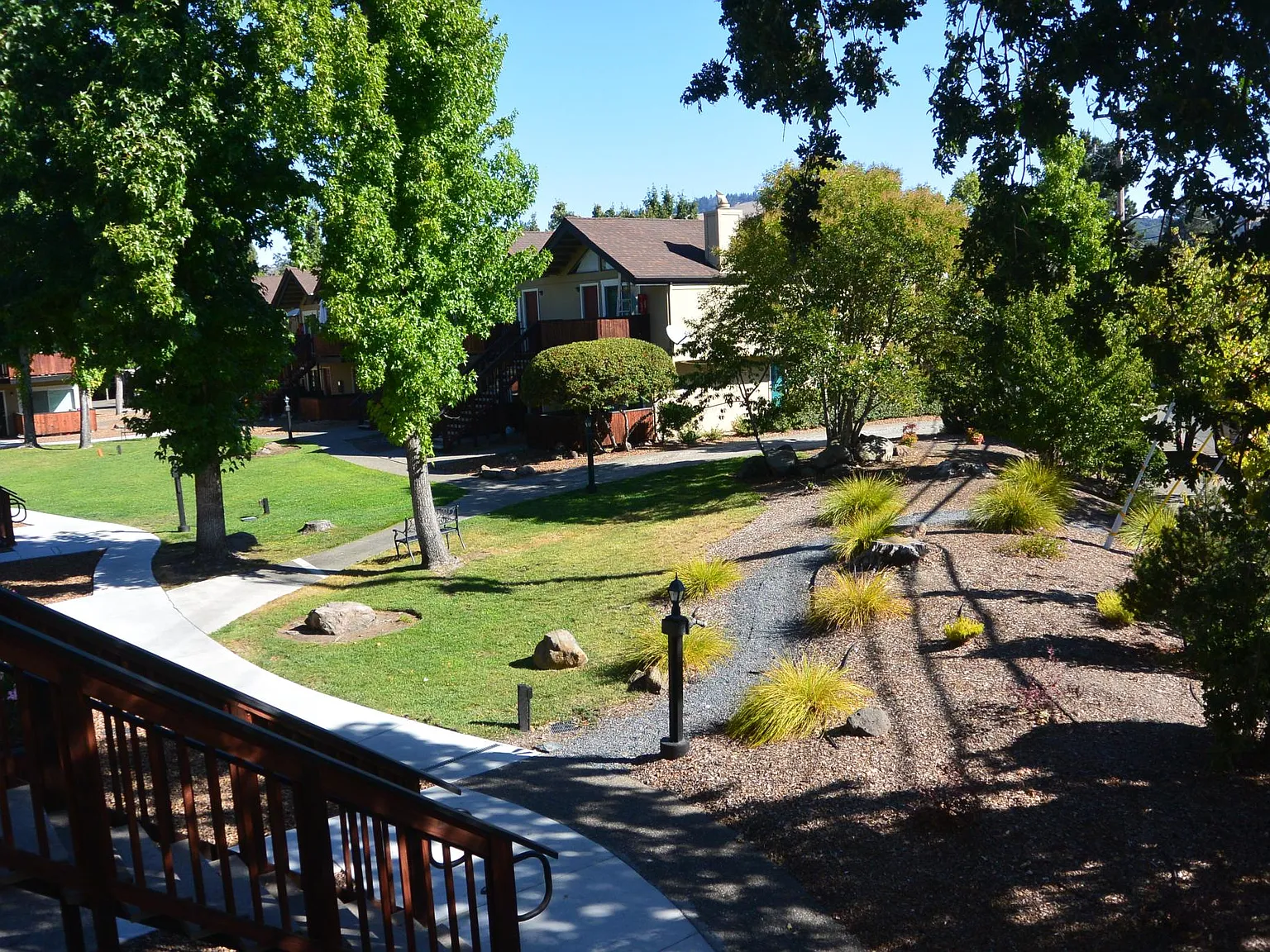 Pine Wild Apartments — Photo 3
