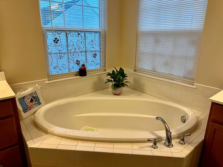 Master Bath Tub