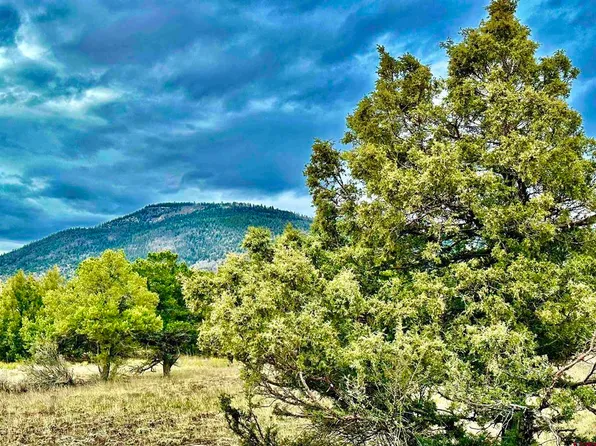 625 Blackhawk RD, South Fork, CO 81154