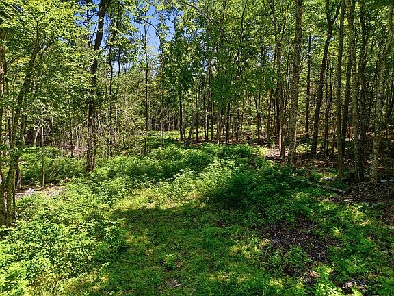 3rd image of LOT 0 Thayer Hill Rd