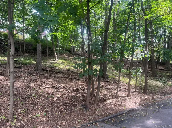 0 Springwood Avenue, Ardsley, NY 10502