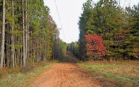 2nd image of Yellow Creek Rd
