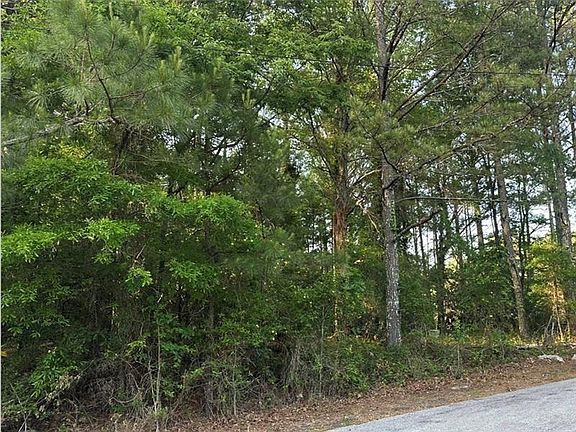 5th image of 0 Scarlett Ln NE