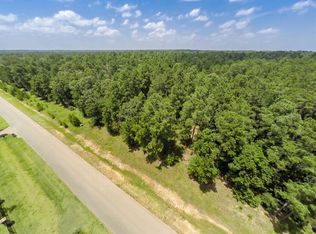 28333 Meadow Frst, Magnolia, TX 77355