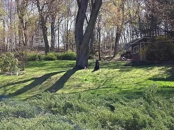 12 Gory Brook Road, Tarrytown, NY 10591