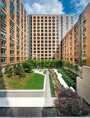 Rented by Gotham Organization | media 50