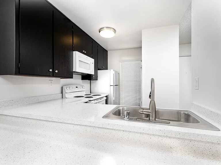 Antone Apartments — Photo 151