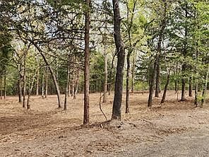 3rd image of 0 County Road 4710 Lot 465