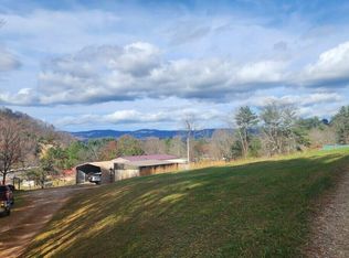 295 Larrys Ln, Mountain City, TN 37683