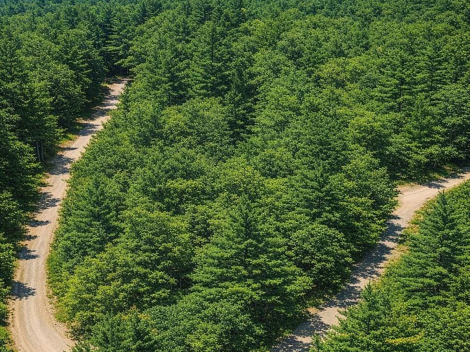 1st image of LOT 124 Trellis Dr