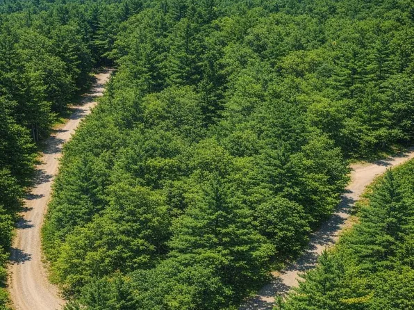 LOT 124 Trellis Dr, Nebo, NC 28761