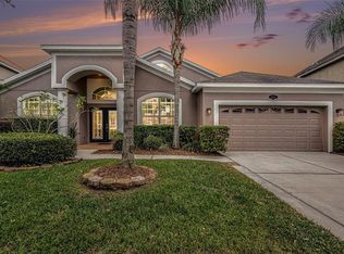 20017 Painting Nature Ln, Tampa, FL 33647