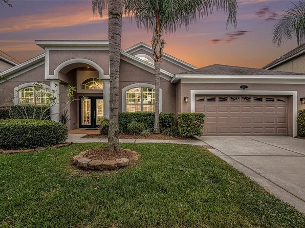 20017 Painting Nature Ln, Tampa, FL 33647