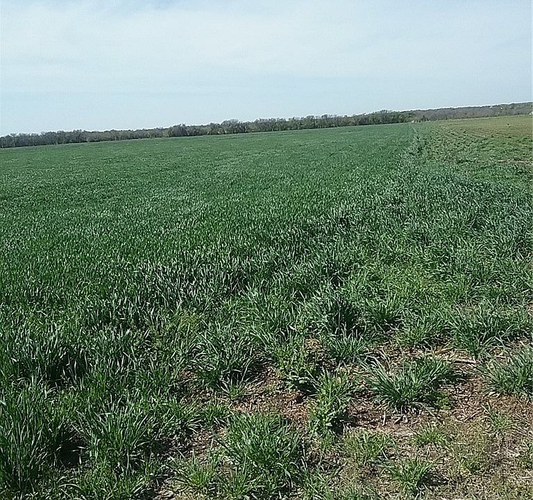 2nd image of Tbd Dale Acres Rd