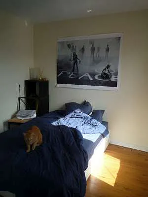 Rented by New York City Apartments | media 30