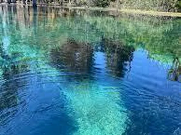 0 Flynt Dr, Marianna, FL 32446