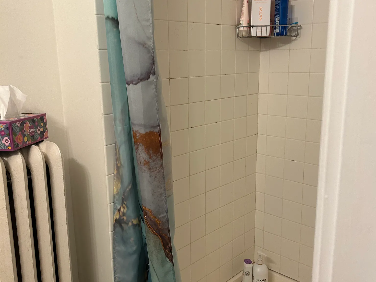 1 bed, 500 sqft, $1,100 — Photo 2