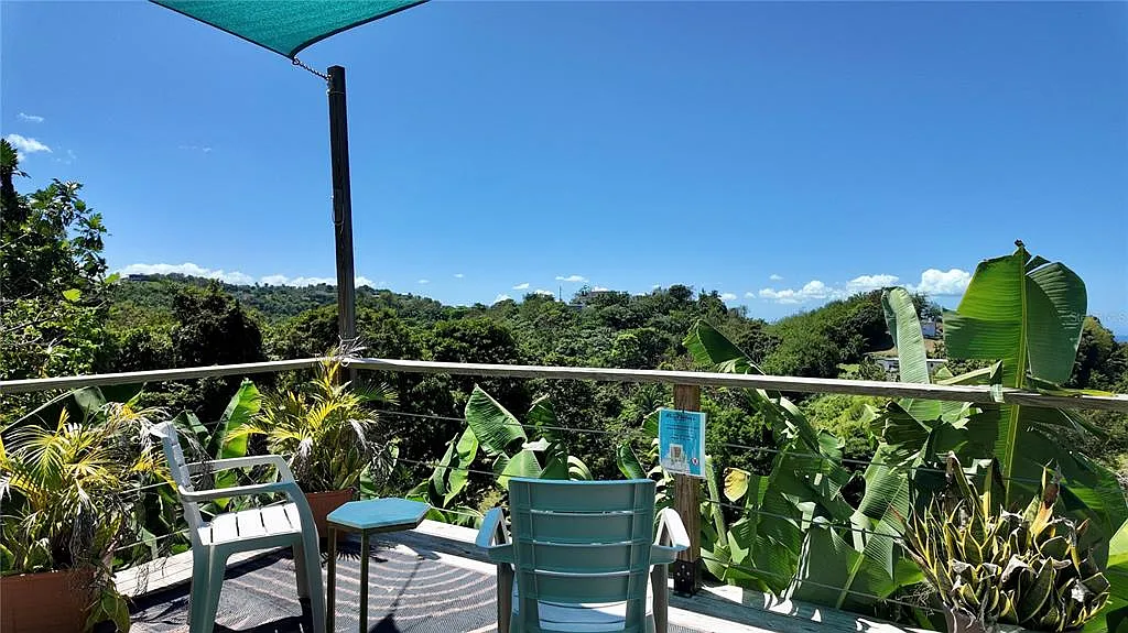 1 bed, 1.0 bath, 350 sqft, $1,000 — Photo 2