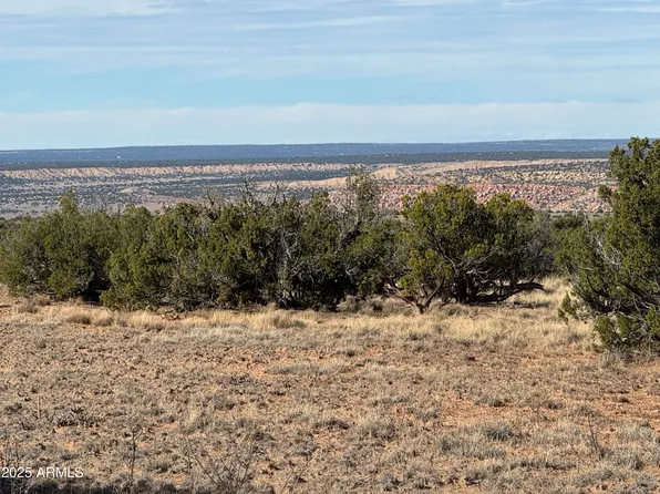 Lot 62 Sierra Highlands Ranch -- #62, St Johns, AZ 85936
