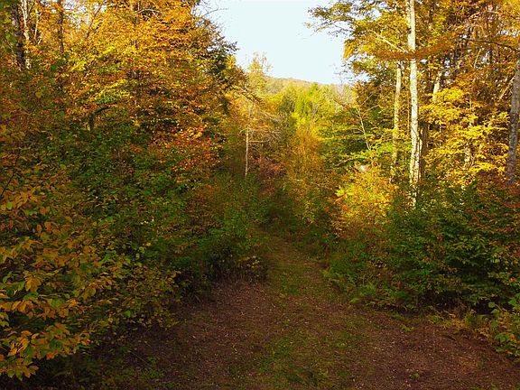 4th image of 463 Old Talc Mine Road