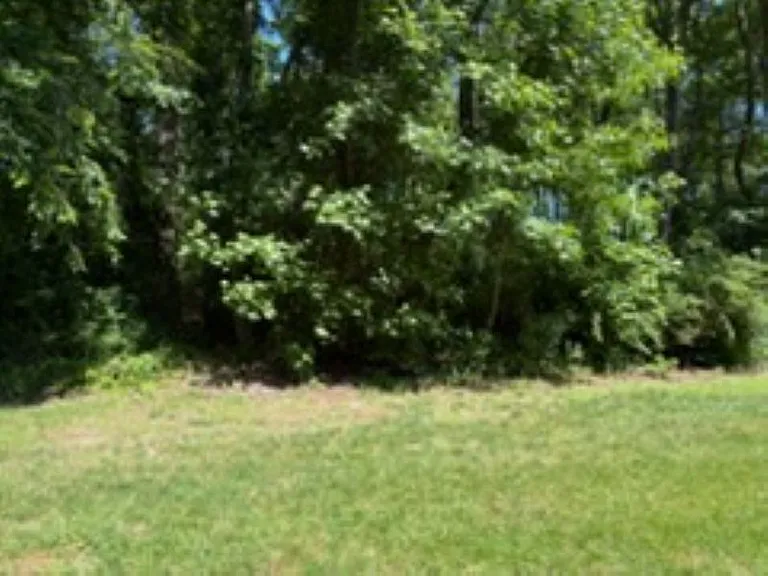 32041 Woods Ct — Photo 17