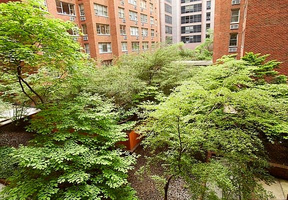 4th image of 50 Sutton Pl S APT 4B