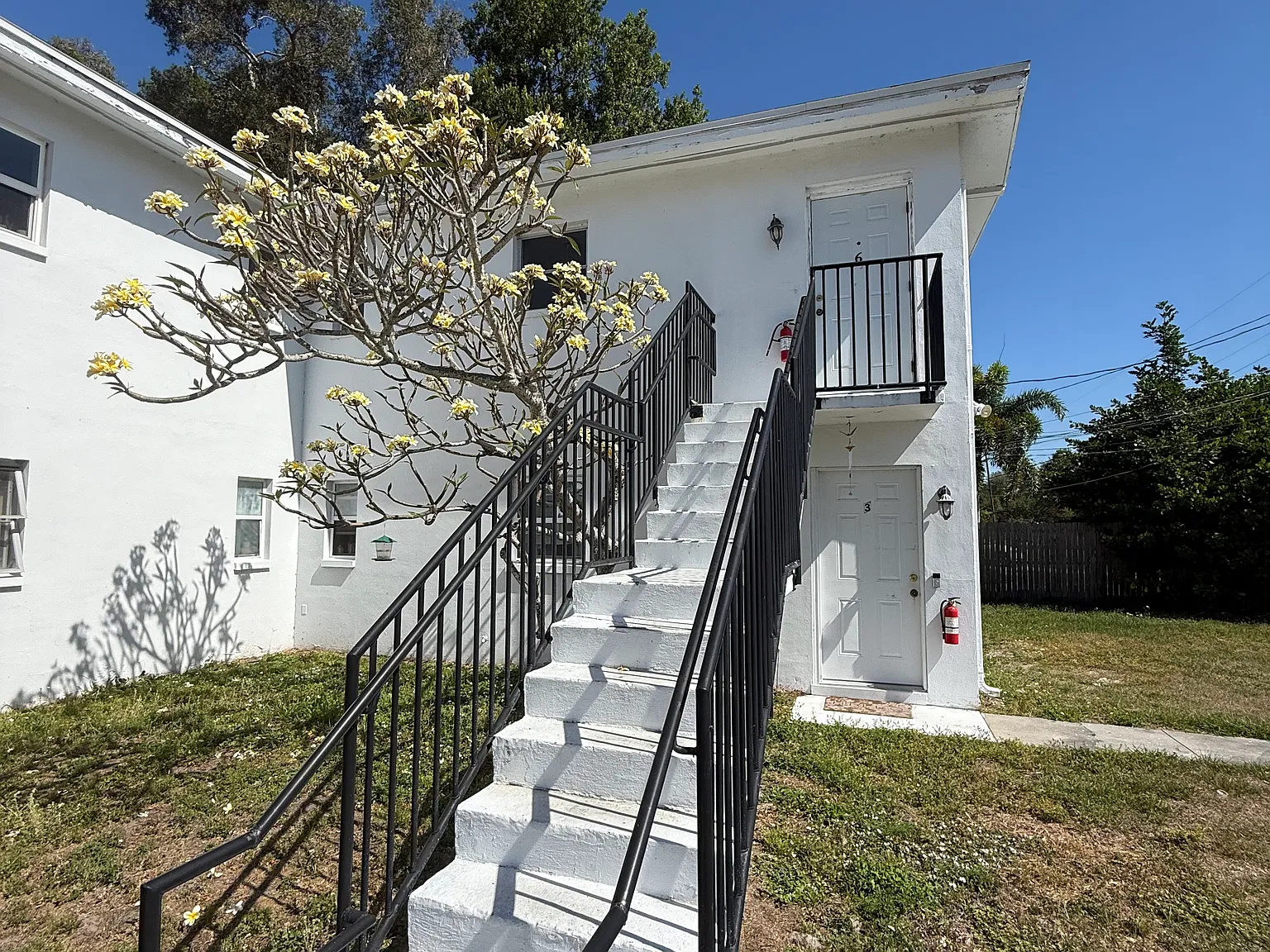 Dunedin Studio Apartment — Photo 2
