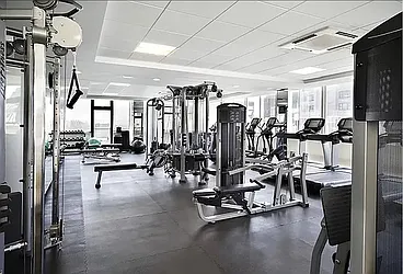 Rented by Plaza Real Estate Group