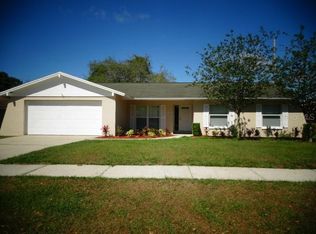 3715 Casaba Loop, Valrico, FL 33596
