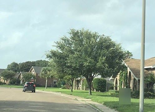 2nd image of 42 Colony Park Cir