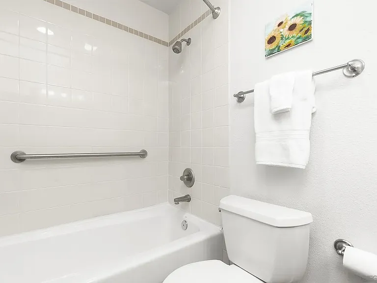 Full bathtub and shower. Safety bars.