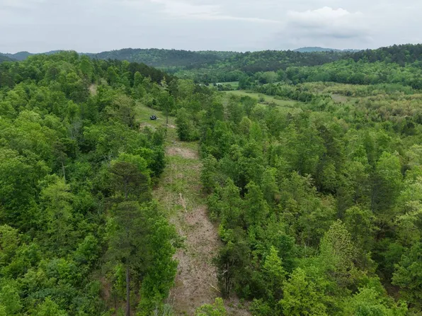 Ryan Rd #2, Oden, AR 71961