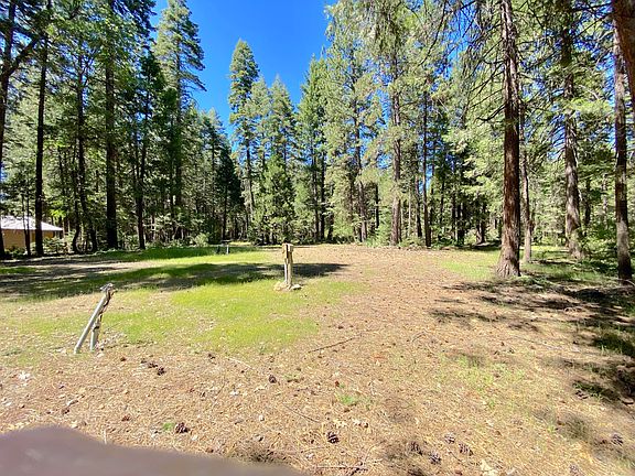 5th image of 33117 Sites Rd