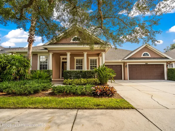 8632 Winsome Way, Land O Lakes, FL 34637