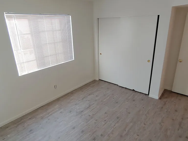 1884 Nebula Dr — Photo 5