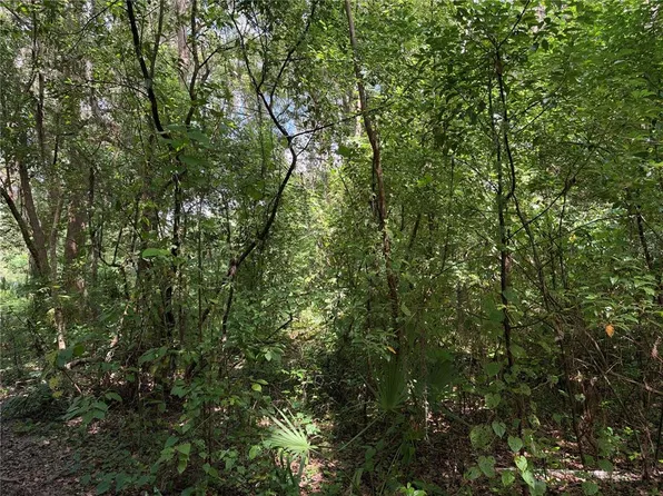 0 SE 118TH PLACE LOT 04, BELLEVIEW, FL 34420