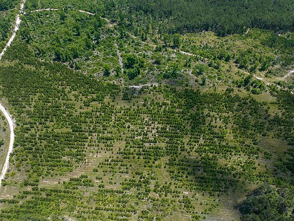 Fm 355/chita Cemetary Rd, Trinity, TX 75862 | MLS #58732989 | Zillow