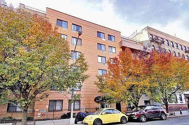 Rented by Bold New York