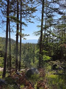 1959 Bear Face Rd, Victor, MT, 59875