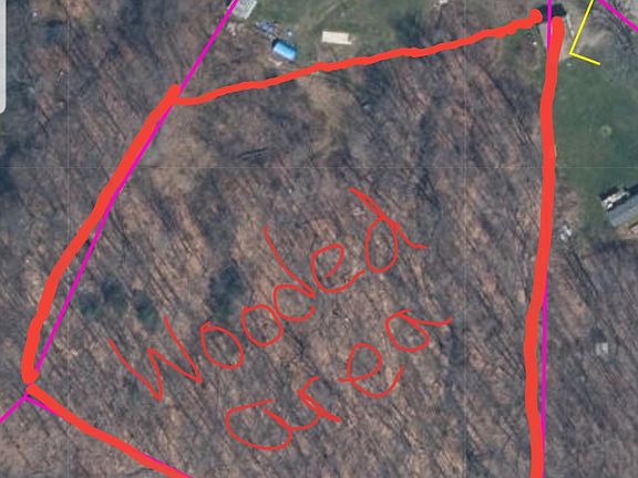 Wooded area of property