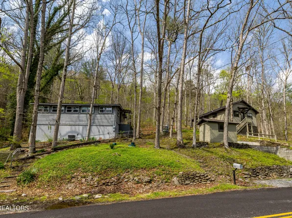 236 & 240 Long Branch Rd, Townsend, TN 37882