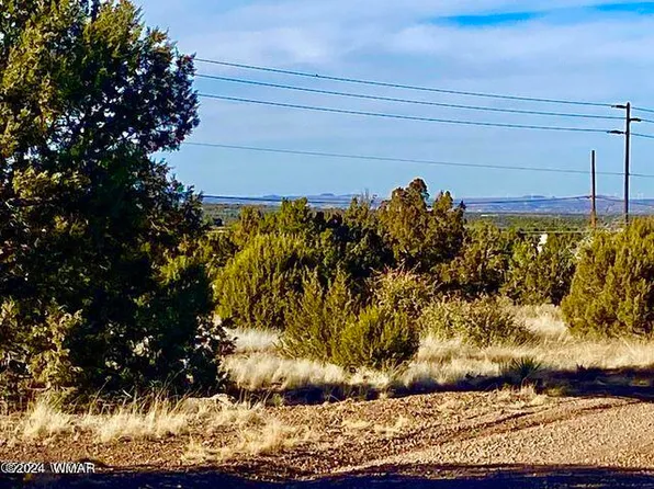 1770 Silver Lake Blvd, Show Low, AZ 85901