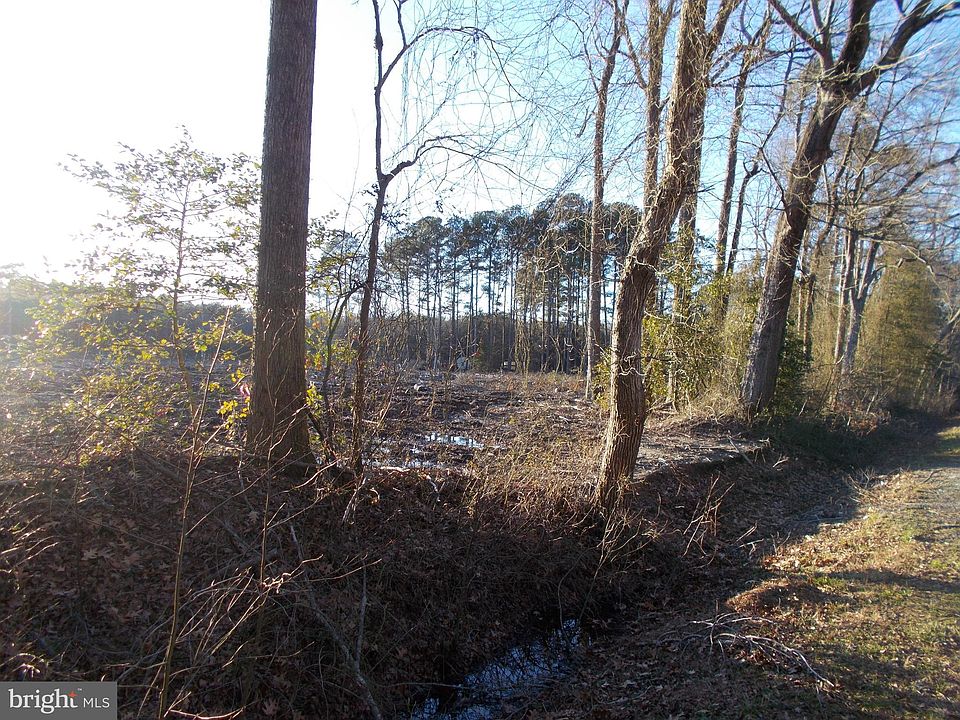 2nd image of Springdale Rd