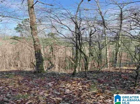 5830-3 S Shades Crest Rd, Bessemer, AL 35022