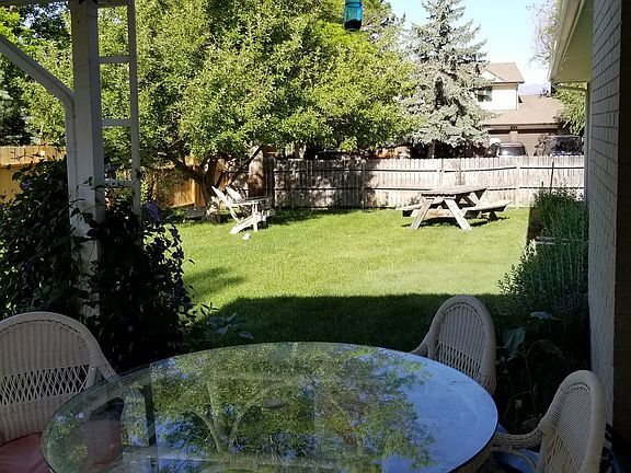 Patio and backyard