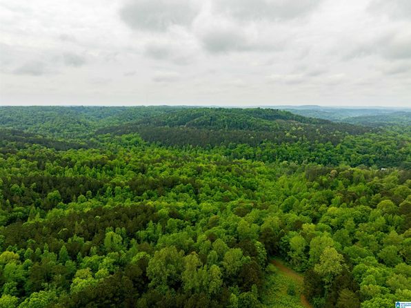 0 Willow Fork Rd #0, Quinton, AL 35130