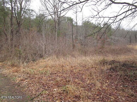 5th image of 5960 Poor Valley Rd