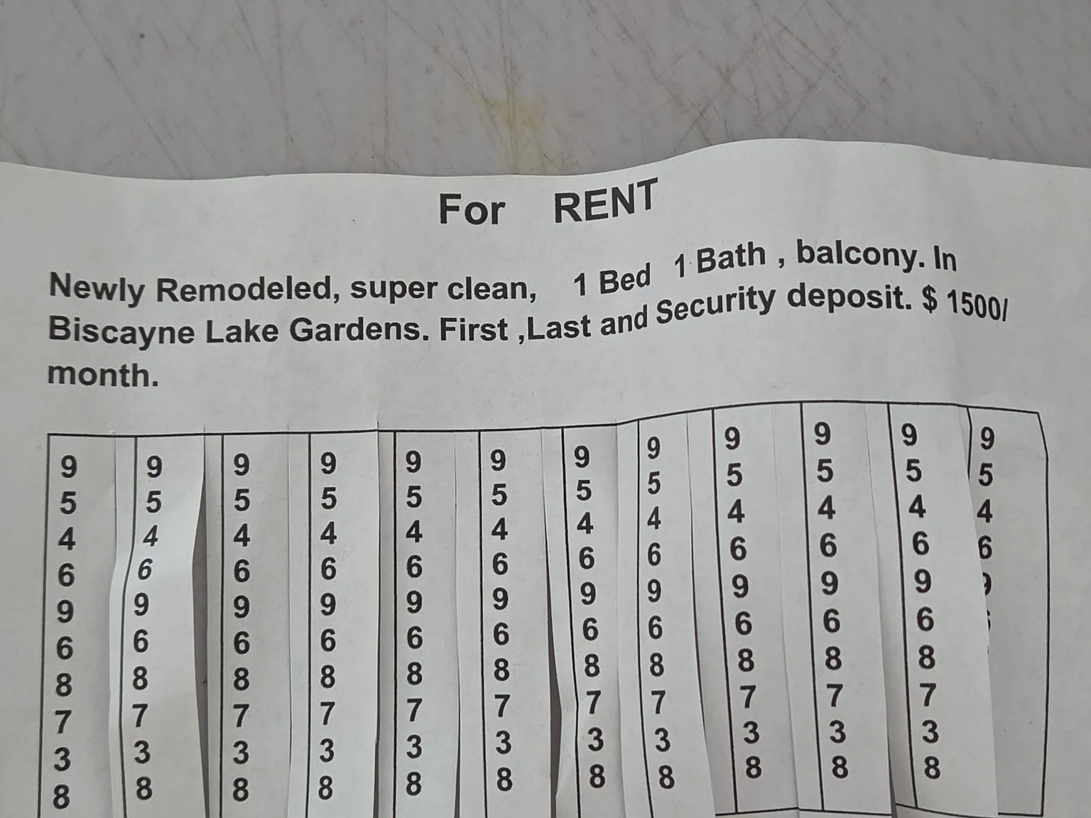1 bed, 800 sqft, $1,500 — Photo 4