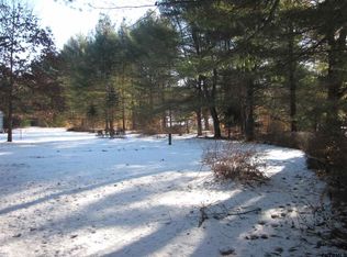 301 Bockes Rd, Greenfield Center, NY 12833