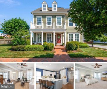 133 Henry Stoupe Way, Chester, MD, 21619